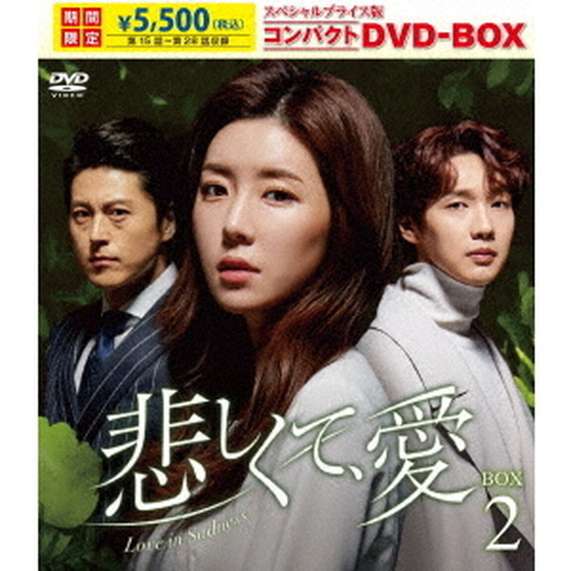 悲しくて、愛　スペシャルプライス版コンパクトDVD－BOX2（ＤＶＤ）