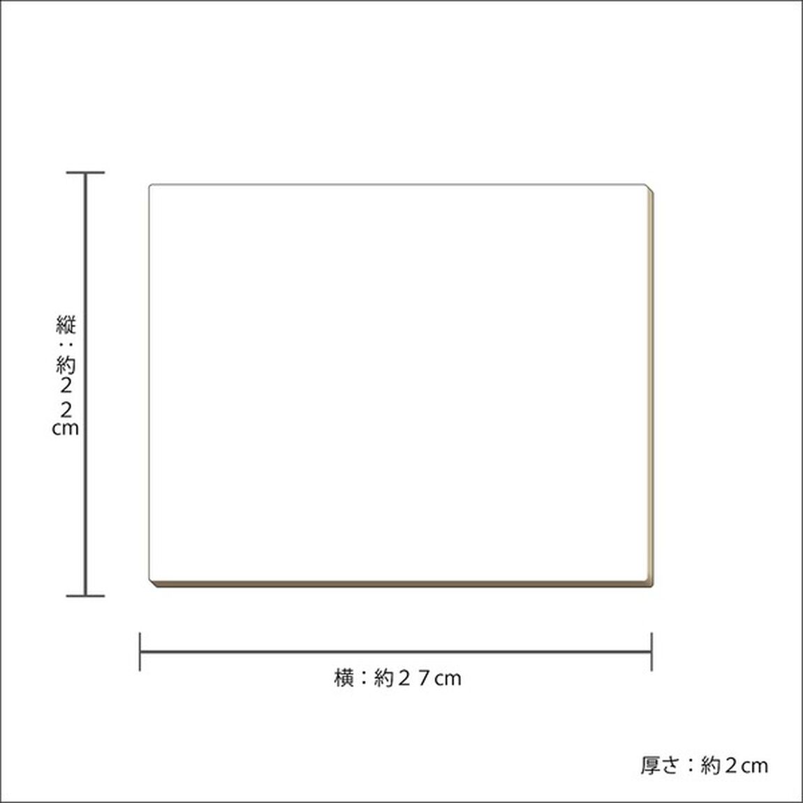 【メタライズアート特集】Ｄｒ．ＳＴＯＮＥ／キャンバスアートボード（小）／千空＆ゲン．ｖｅｒ（セブンネット先行発売）（その他）