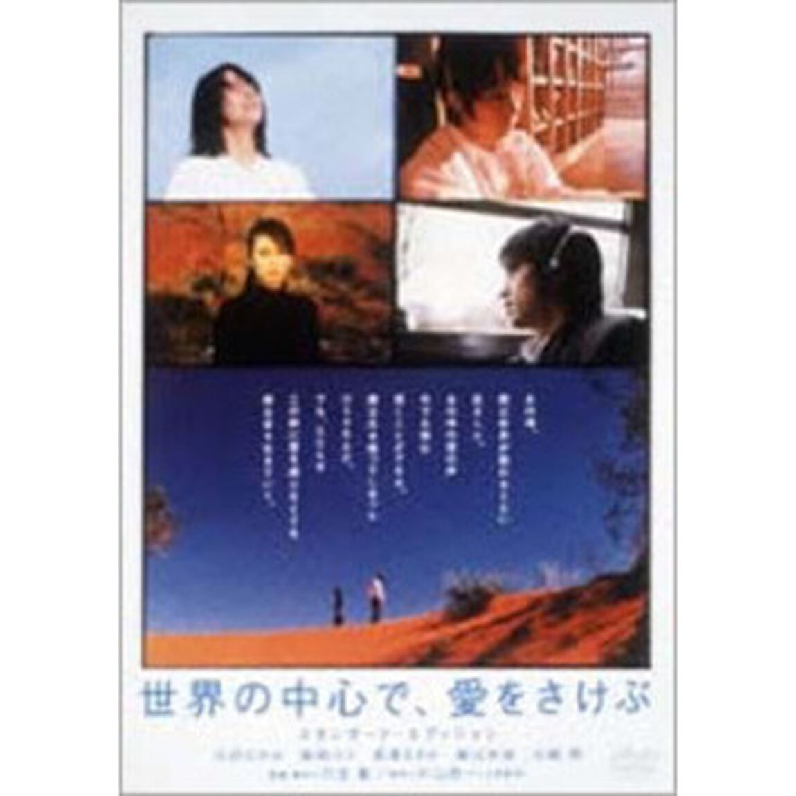 世界の中心で、愛をさけぶ　スタンダード・エディション（ＤＶＤ）