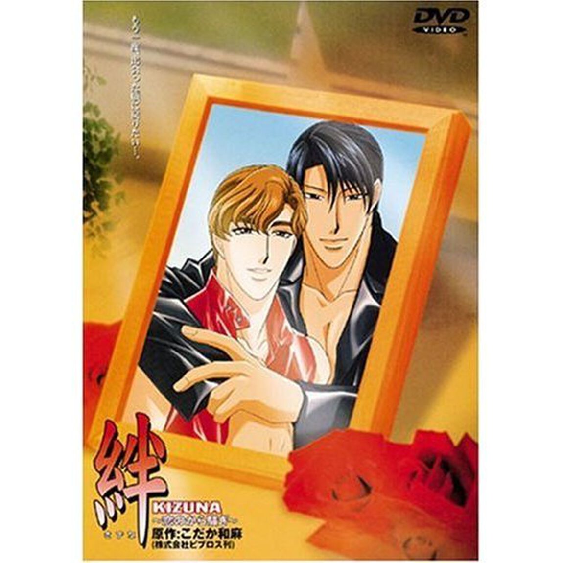 絆　KIZUNA　〜恋のから騒ぎ〜（ＤＶＤ）
