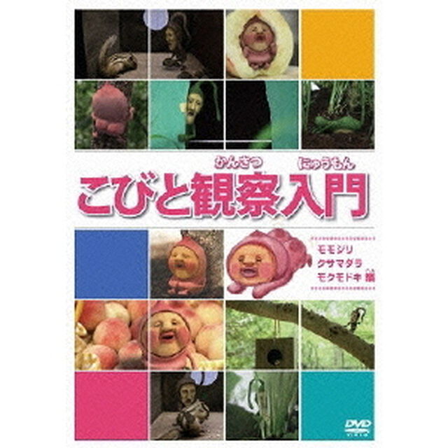 こびと観察入門　モモジリ　クサマダラ　モクモドキ編（ＤＶＤ）