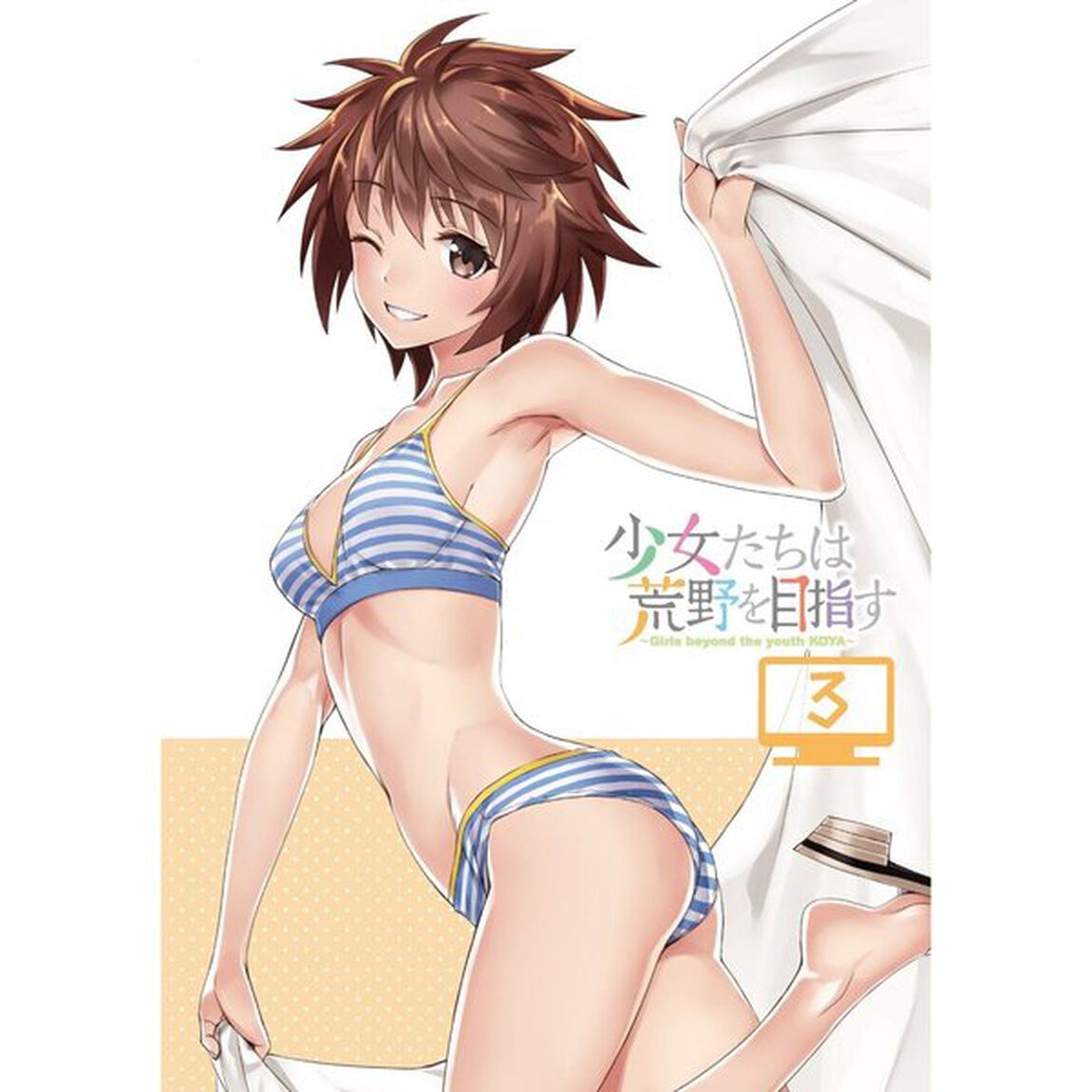 少女たちは荒野を目指す　Vol．3（ＤＶＤ）