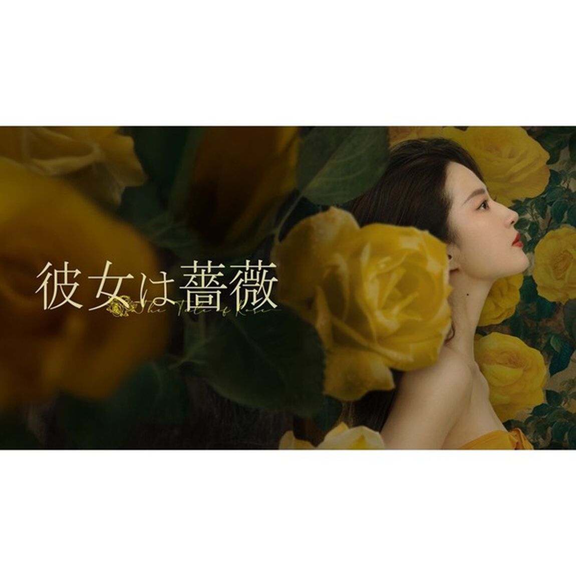 彼女は薔薇　DVD－BOX1（ＤＶＤ）