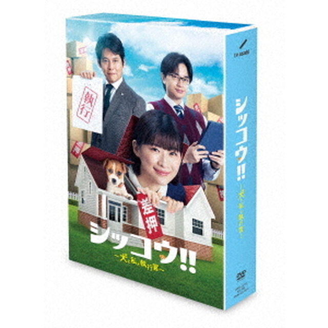 シッコウ!! 〜犬と私と執行官〜 DVD-BOX＜予約購入特典：B6クリアファイル付き＞（ＤＶＤ）