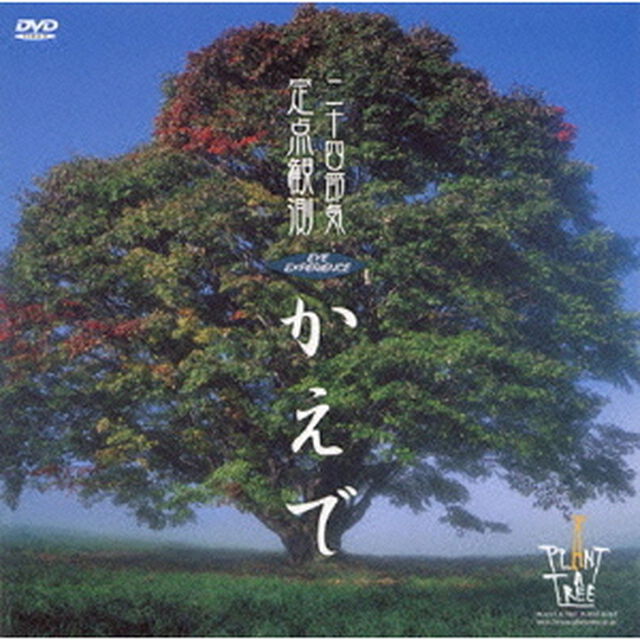 Eye Experience 「二十四節気」 定点観測シリーズ かえで（ＤＶＤ）