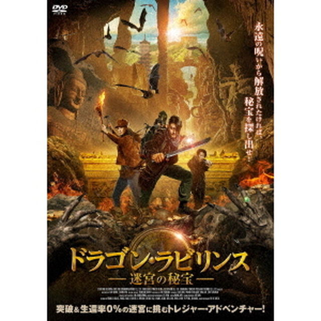 ドラゴン・ラビリンス　迷宮の秘宝（ＤＶＤ）