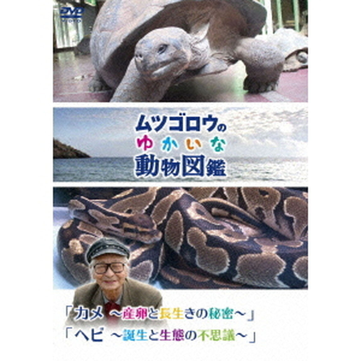 「ムツゴロウのゆかいな動物図鑑」 シリーズ 「カメ 〜産卵と長生きの秘密〜」「ヘビ 〜誕生と生態の不思議〜」（ＤＶＤ）