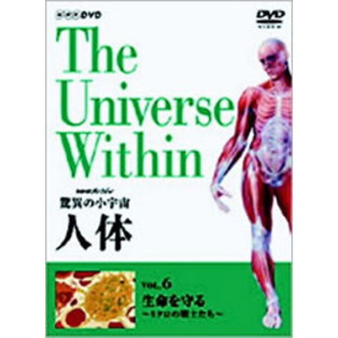 NHKスペシャル 驚異の小宇宙 人体 vol.6 生命を守る 〜免疫〜（ＤＶＤ）