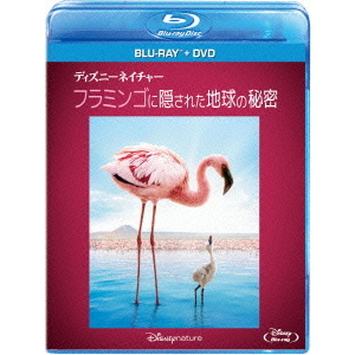 ディズニーネイチャー／フラミンゴに隠された地球の秘密 ブルーレイ+DVDセット（Ｂｌｕ－ｒａｙ　Ｄｉｓｃ）