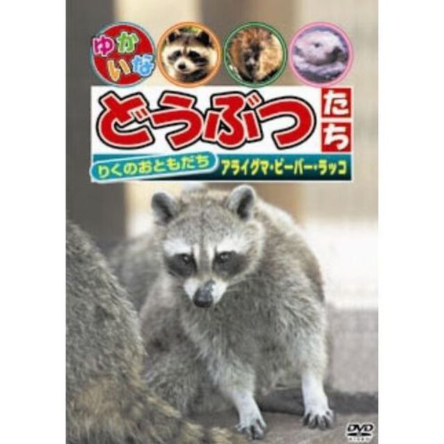 りくのおともだち　「アライグマ・ビーバー・ラッコ」（ＤＶＤ）