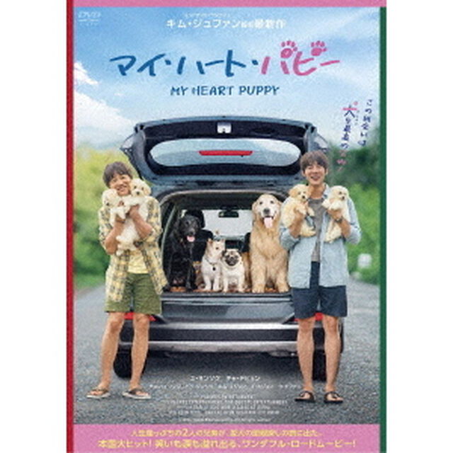 マイ・ハート・パピー（ＤＶＤ）