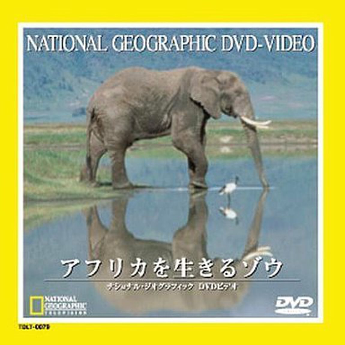 ナショナル・ジオグラフィック　アフリカを生きるゾウ（ＤＶＤ）