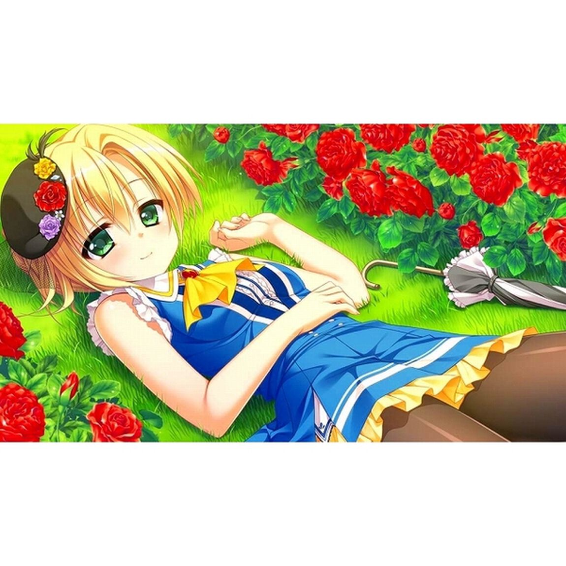 Nintendo Switch　フローラル・フローラブ
