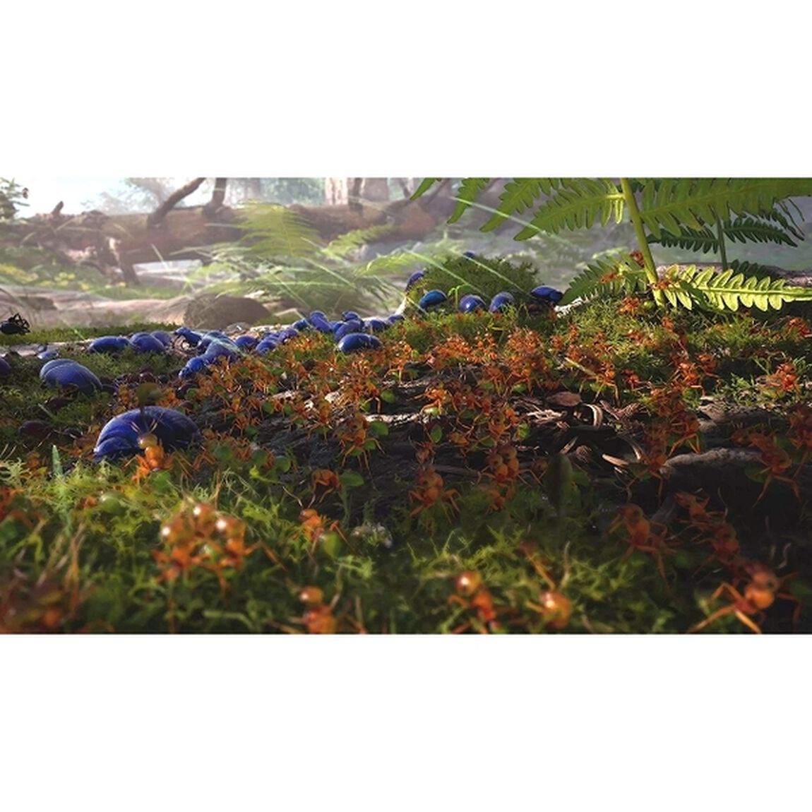 PS5　蟻の帝国ーEmpire of the Ants