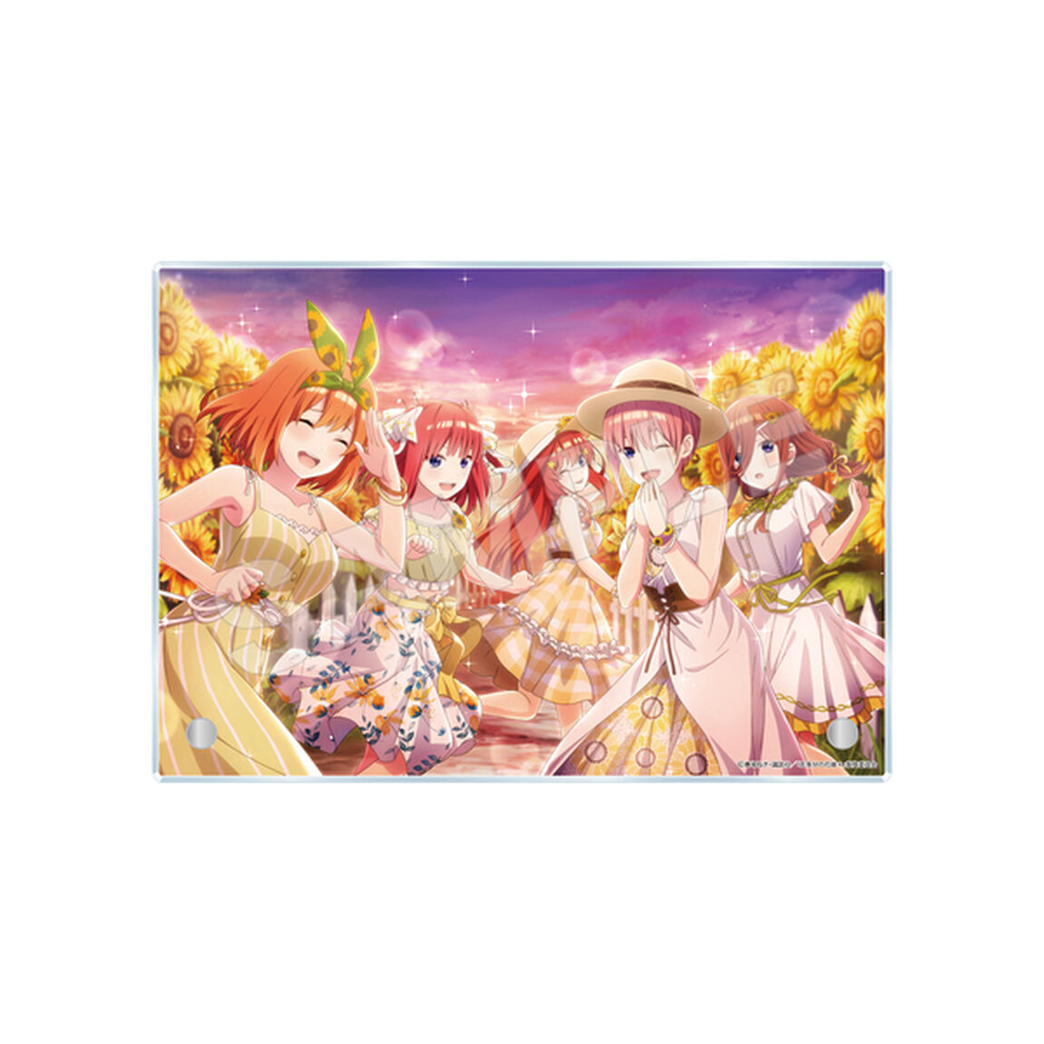 【五等分の花嫁 五つ子ちゃんはパズルを五等分できない。】アクリルボード -技- /02 ひまわり(2026年2月以降発売予定)
