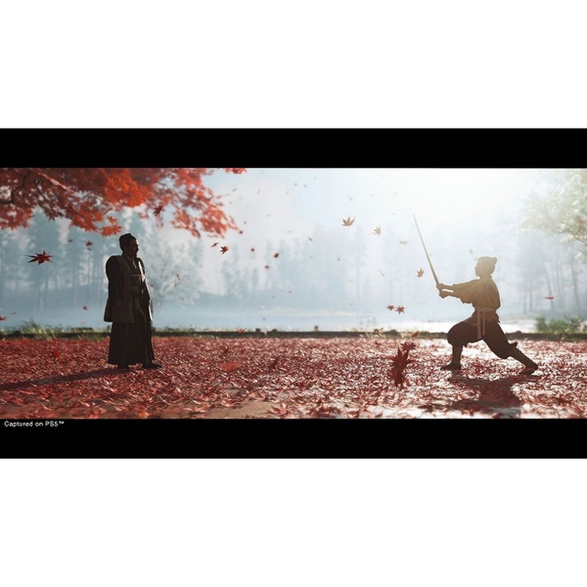 PS5　Ghost of Tsushima Director's Cut