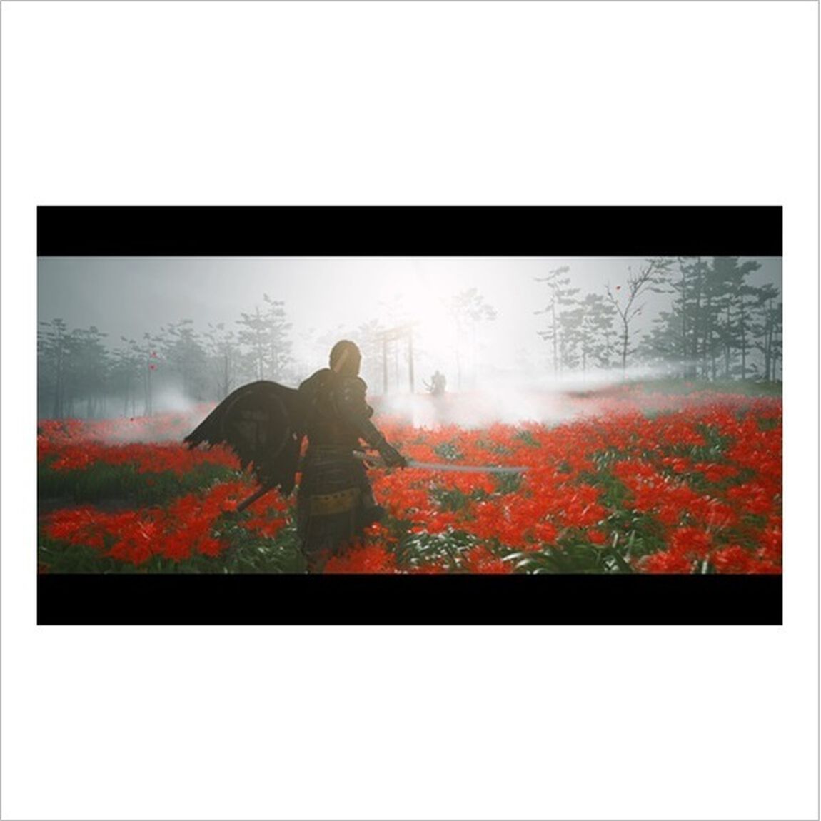 PS4　Ghost of Tsushima（発売日以降お届け分）