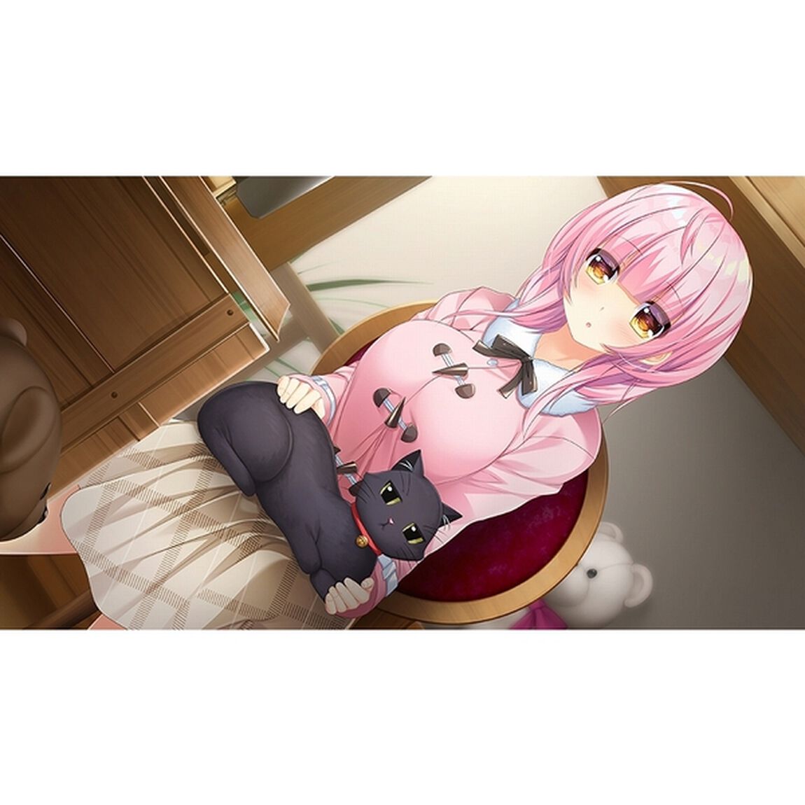 PS4　ガラス姫と鏡の従者