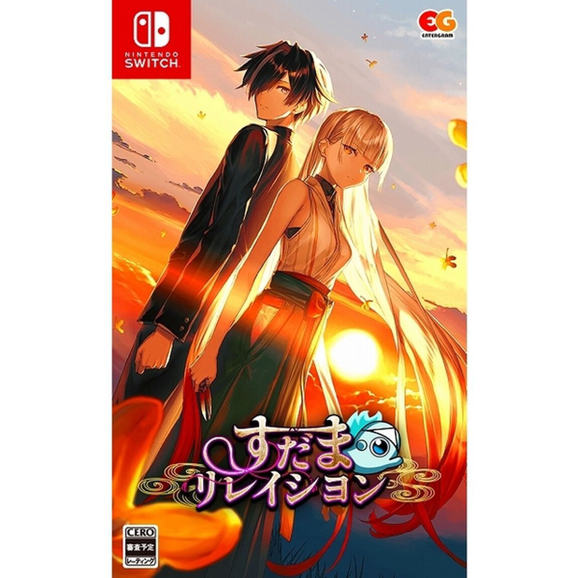 Nintendo Switch すだまリレイシヨン