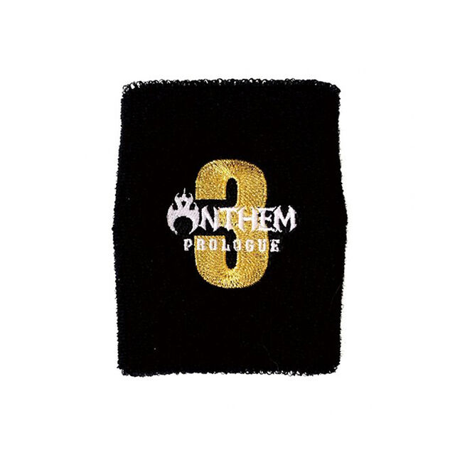 【ANTHEM】35th Anniversary Prologue 3 リストバンド(ロング)