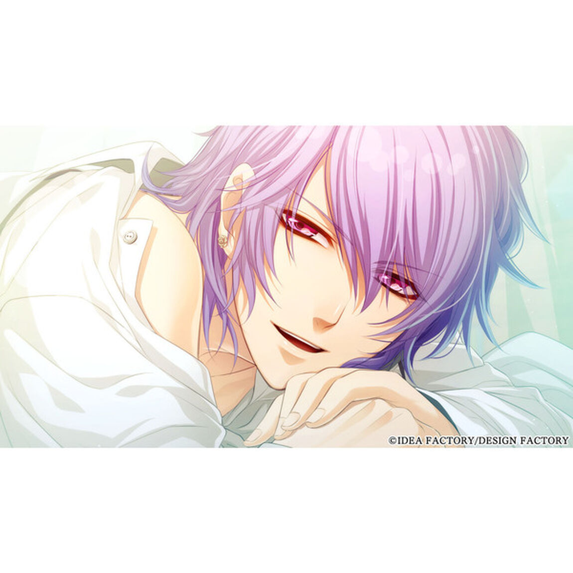 Nintendo Switch Glass Heart Princess for Nintendo Switch　特装版