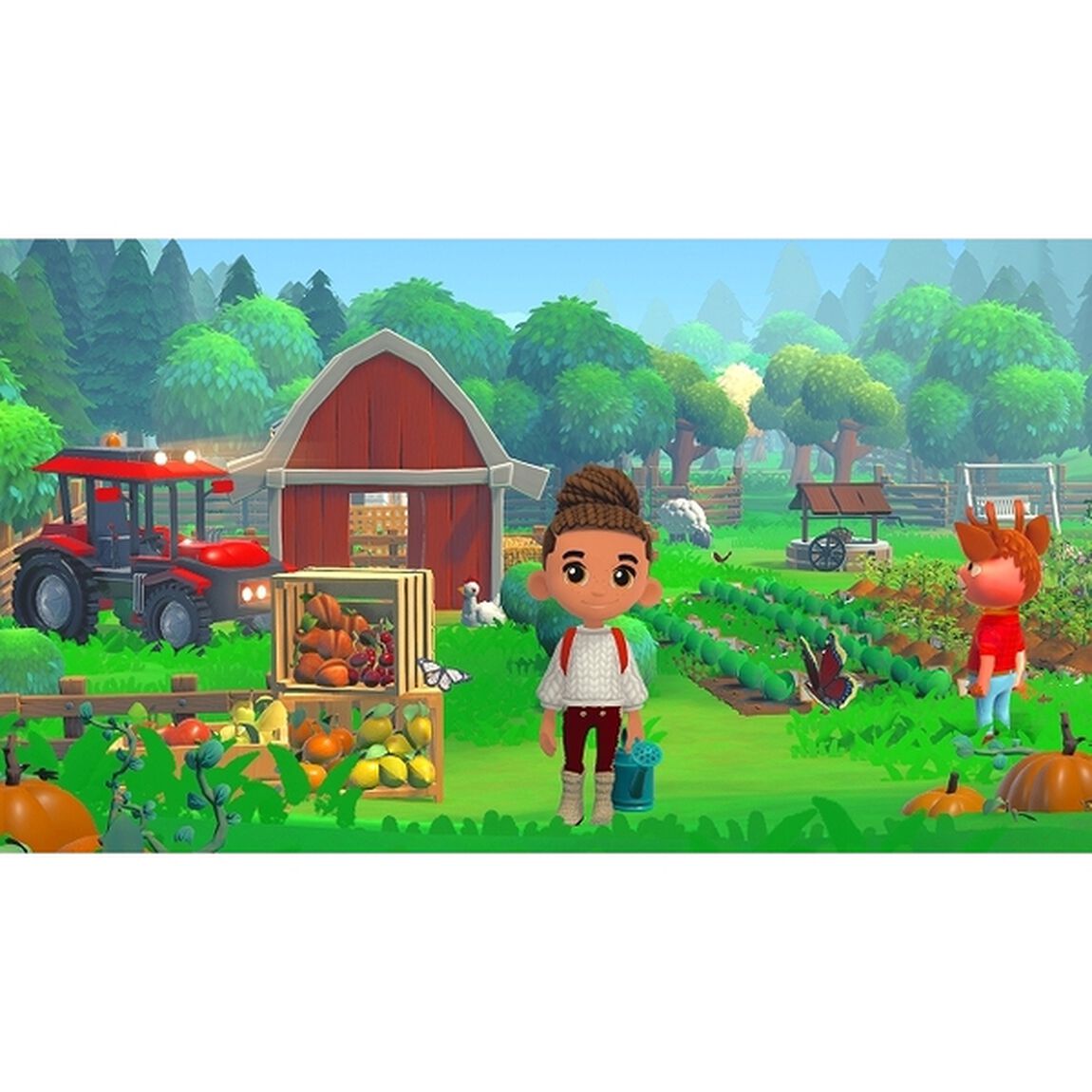 Nintendo Switch　Hokko Life
