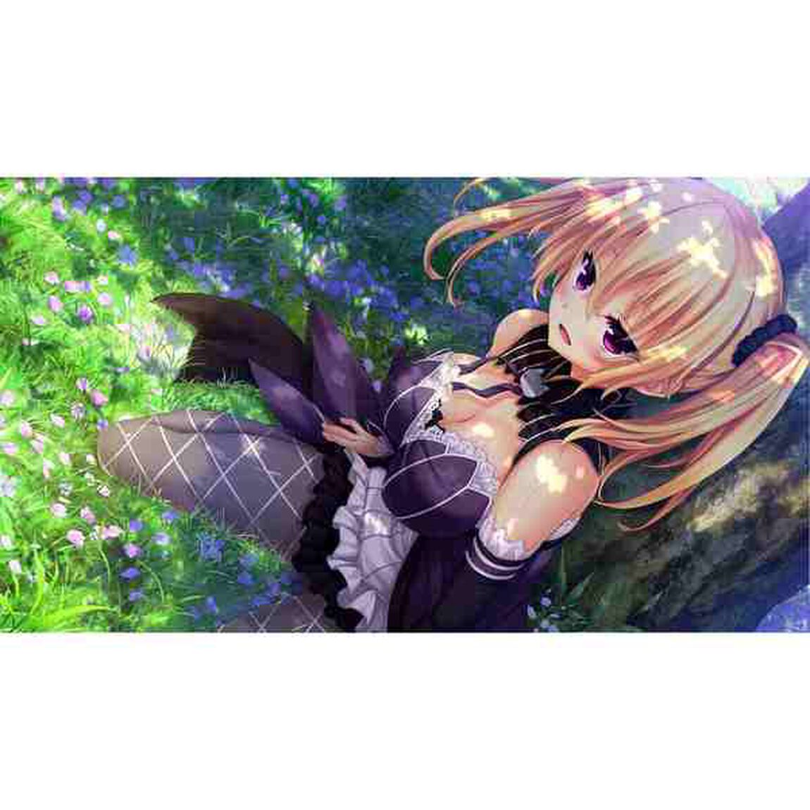 PS4 ノラと皇女と野良猫ハートHDプレミアム版