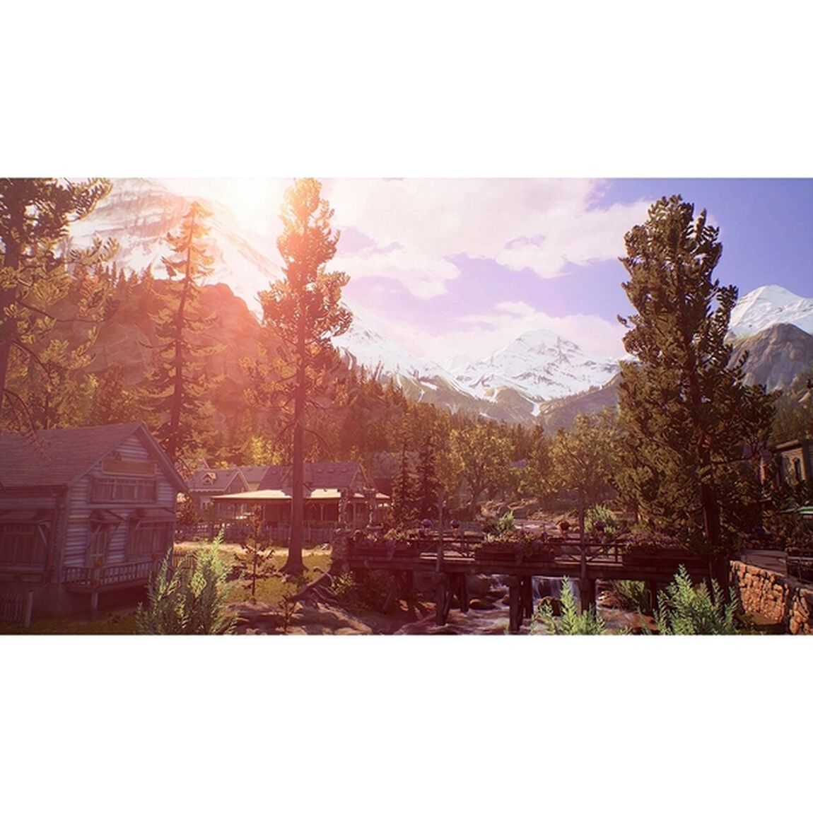 PS4　Life is Strange: True Colors