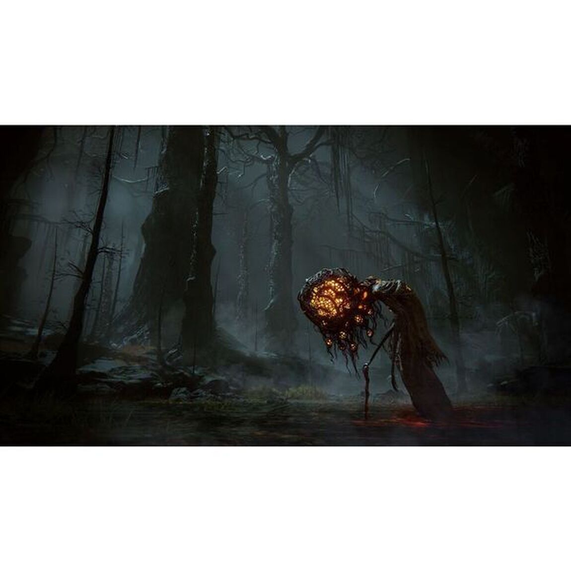 PS4　ELDEN RING SHADOW OF THE ERDTREE EDITION