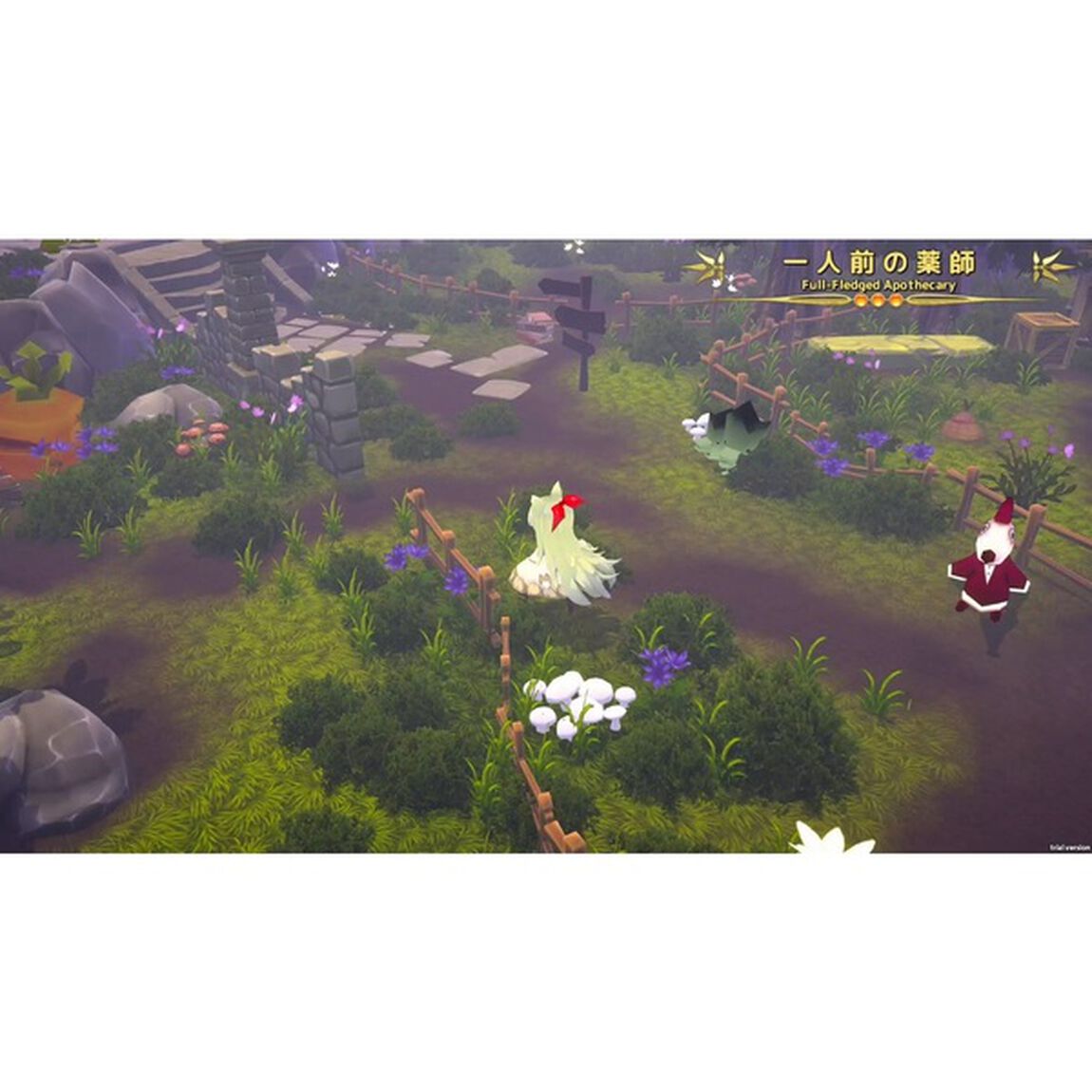 Nintendo Switch　メルヘンフォーレスト 通常版