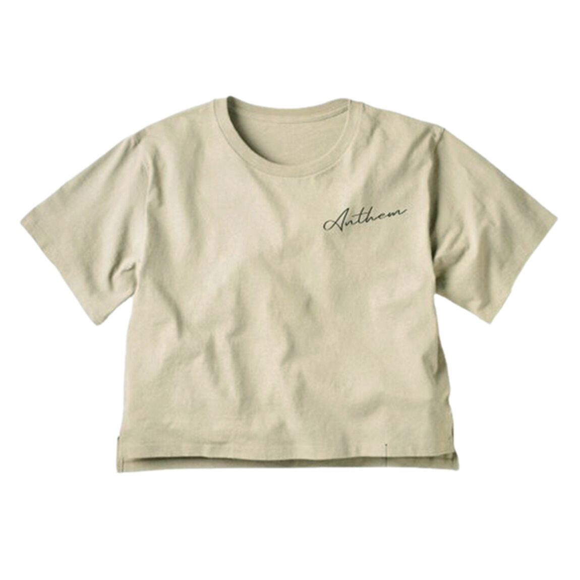 【ANTHEM】ANTHEM 35th ANNIVERSARY TOUR レディース BIG Tシャツ
