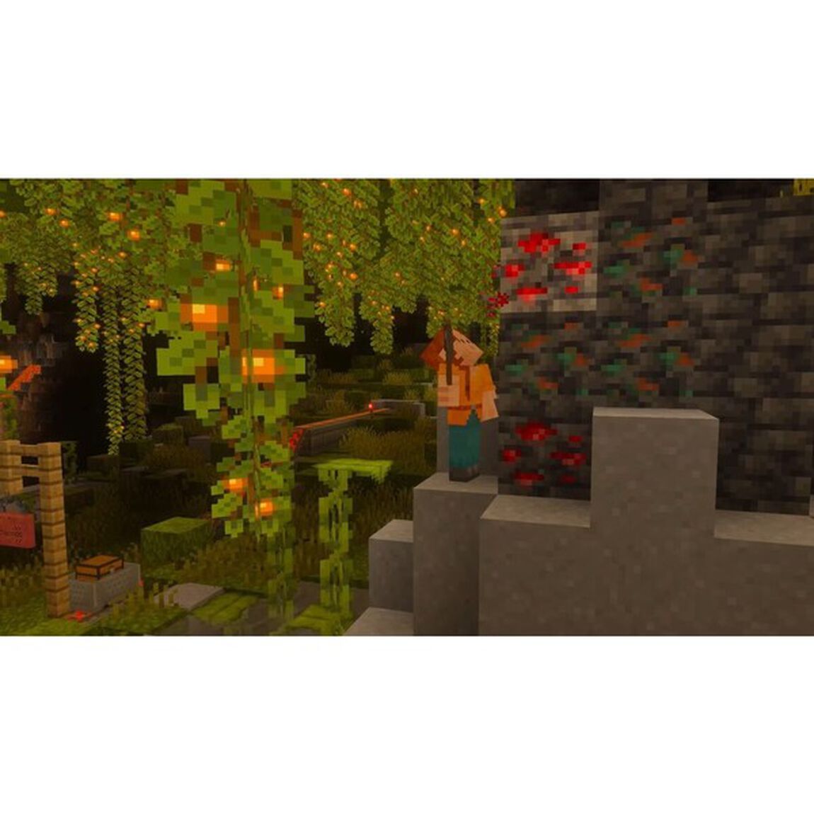 Nintendo Switch 2 Minecraft