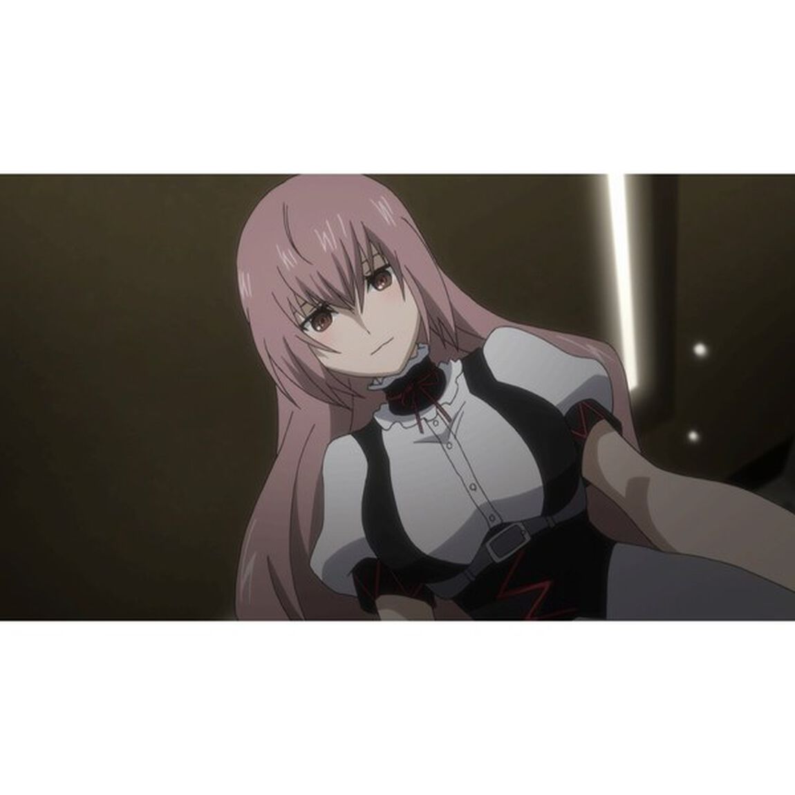 PS4 STEINS GATE ELITE 完全受注生産限定版