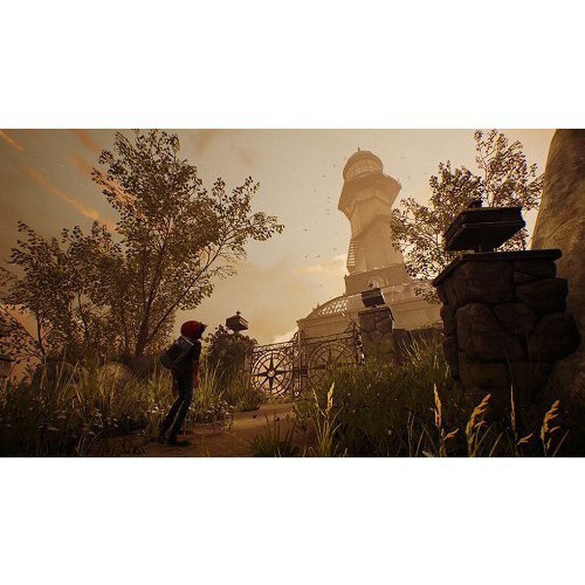 PS4　アッシュと魔法の筆