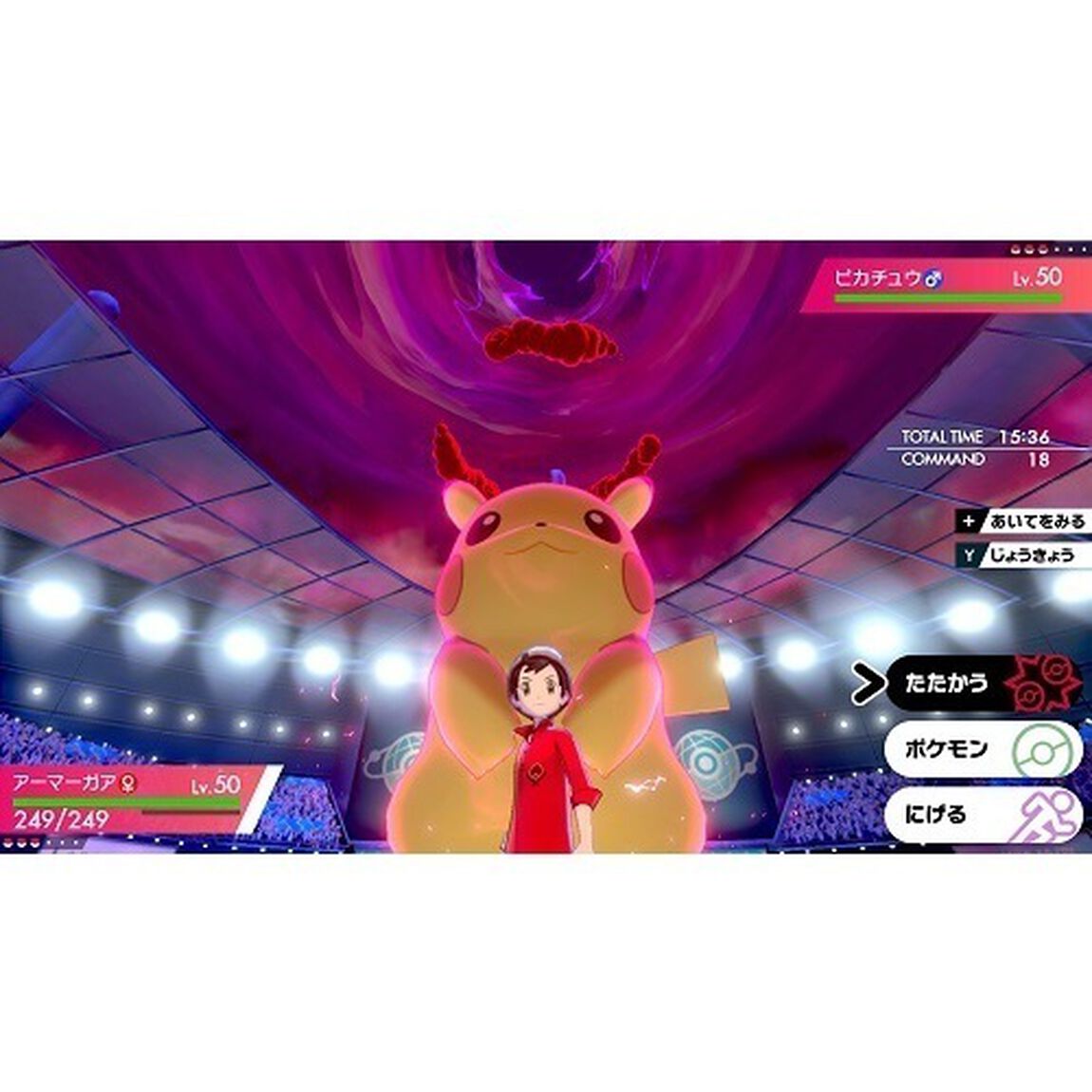 『ポケットモンスター ソード・シールド』ダブルパック 特別セット（限定特典オリジナルポーチ付き）