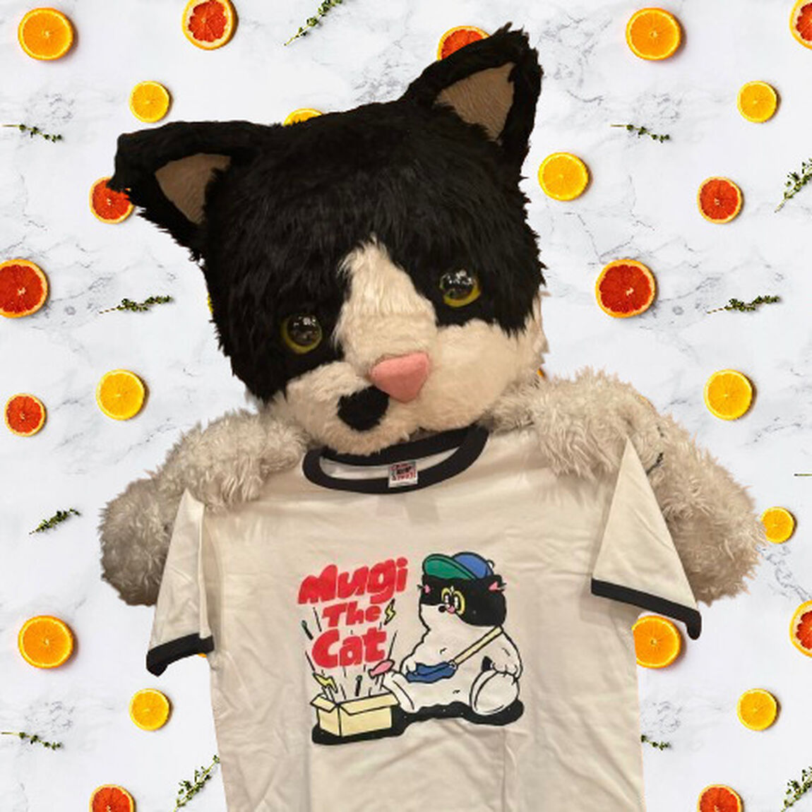 むぎ(猫)／飛び出た！むぎTシャツ（リンガー） Mサイズ