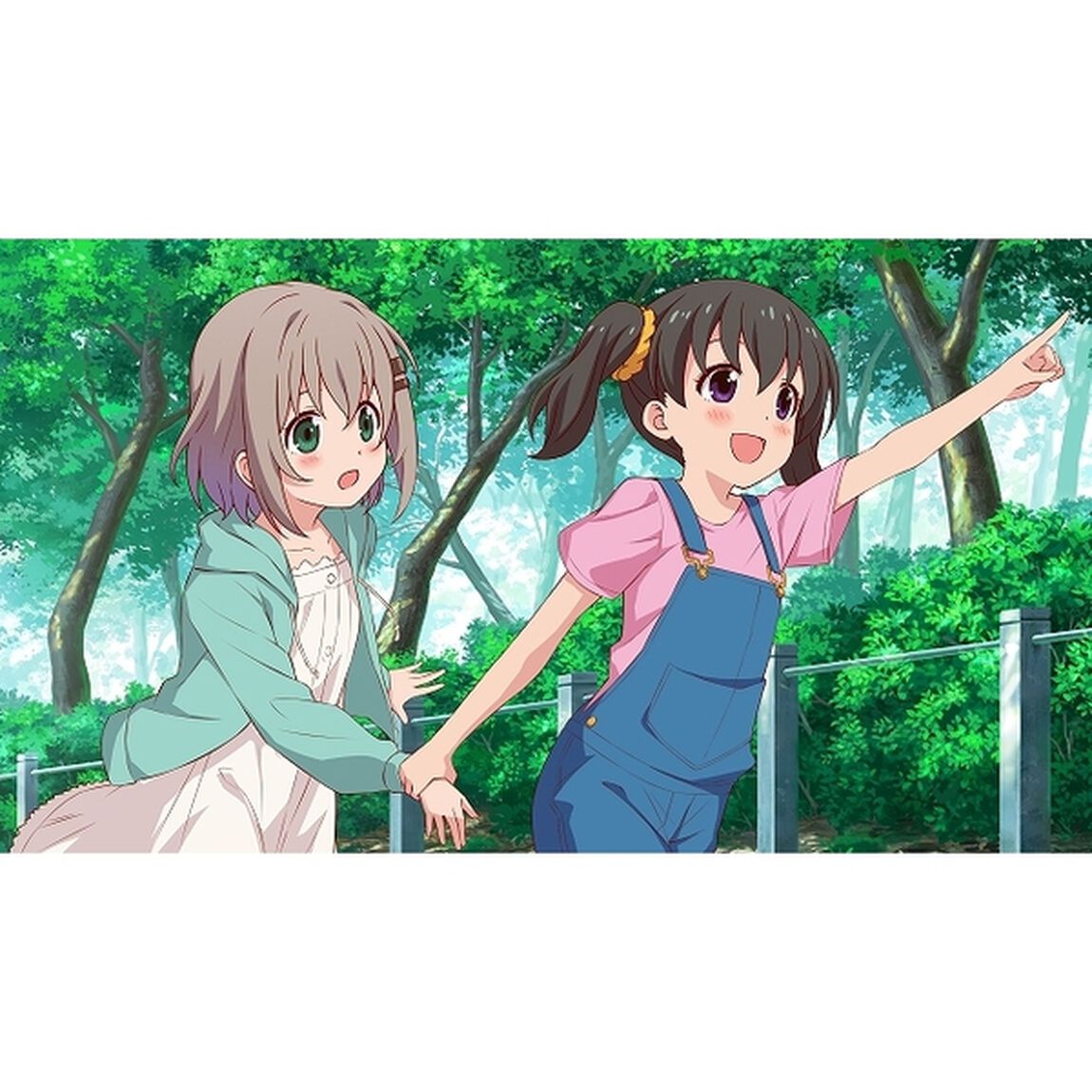 PS4　ヤマノススメ Next Summit 〜あの山に、もう一度〜　完全生産限定版