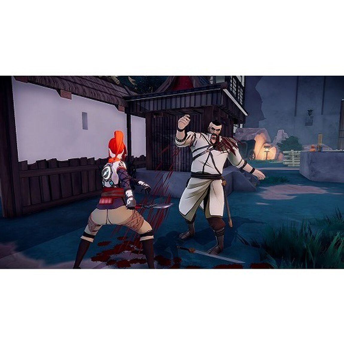 Nintendo Switch　Aragami:Shadow Edition