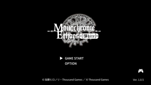 Nintendo Switch モノクローム・エコーズ　ホワイト＆ブラック　Wパック　限定版