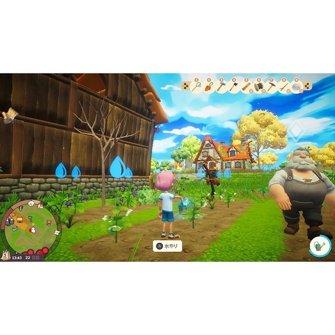 Nintendo Switch　Everdream Valley