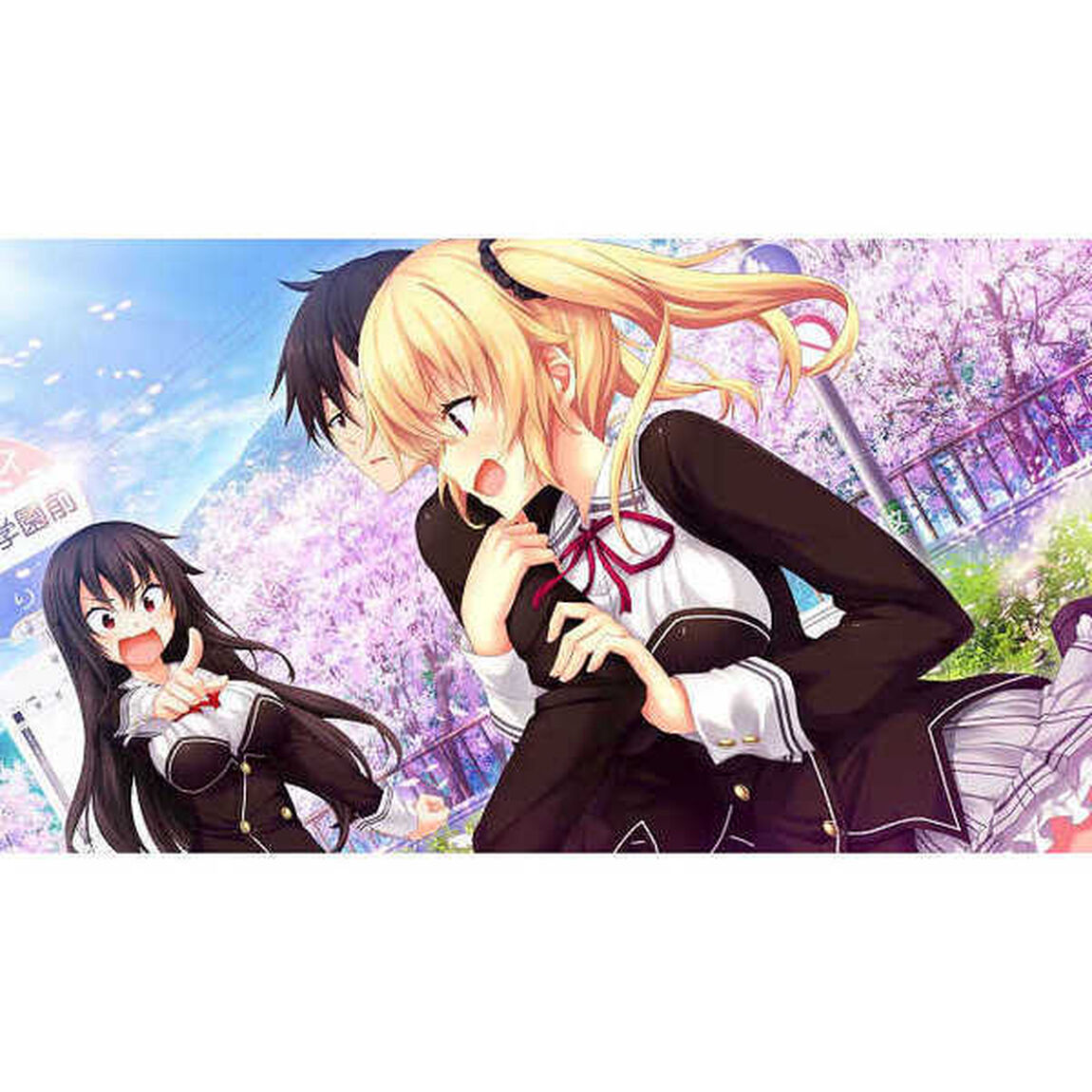 Nintendo Switch ノラと皇女と野良猫ハート HD TVアニメ同梱プレミアム版