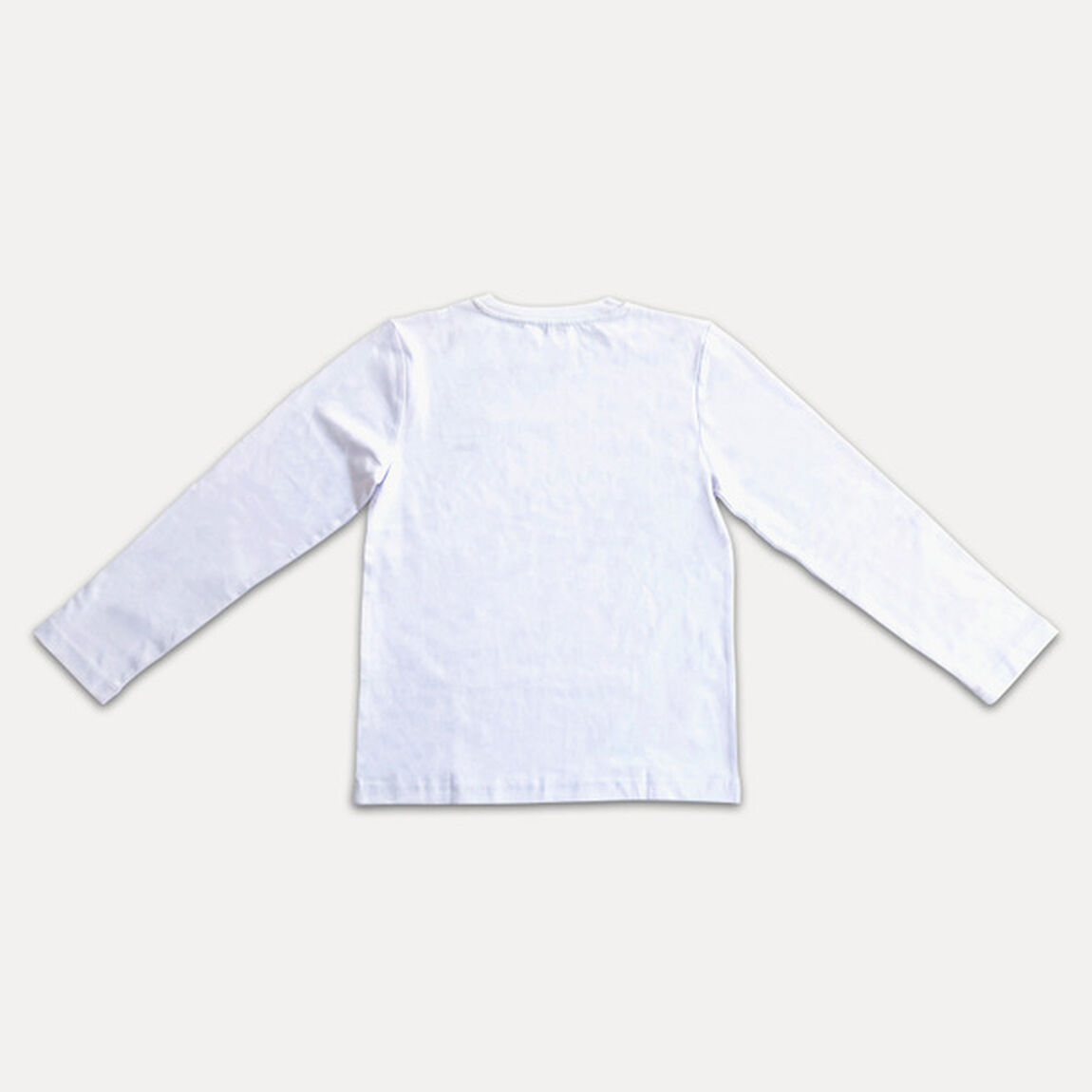 【ap bank fes '23】ロングスリーブTシャツ'21/'23 sunui ホワイト　M