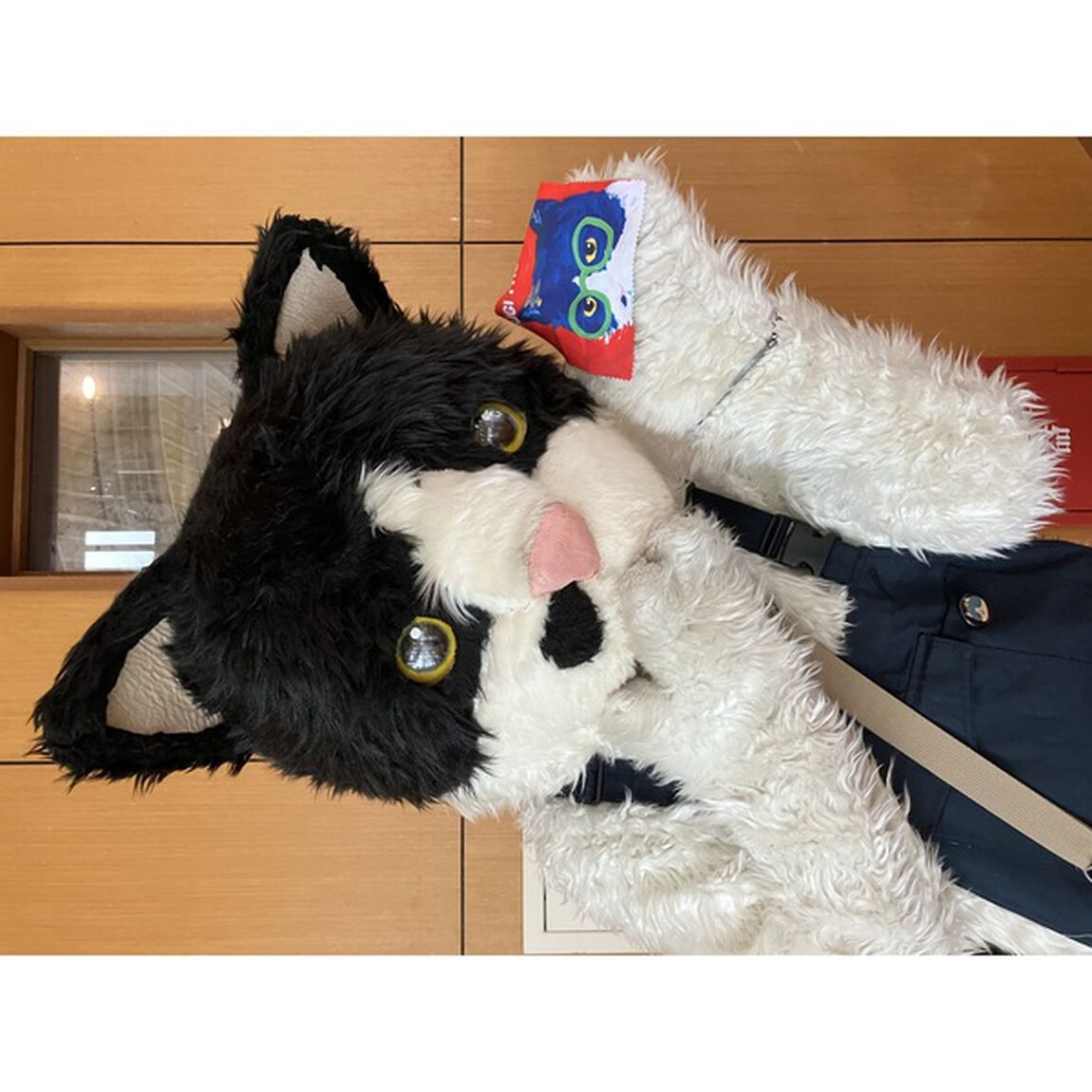 むぎ(猫)／歴史を刻め！こだわりの白いメガネケース&クロス