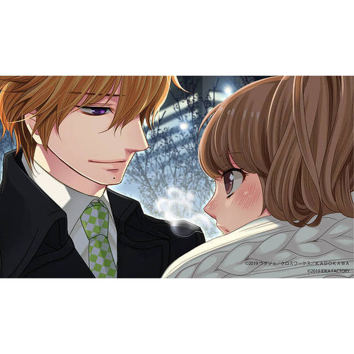 Nintendo Switch BROTHERS CONFLICT　Precious Baby for Nintendo Switch