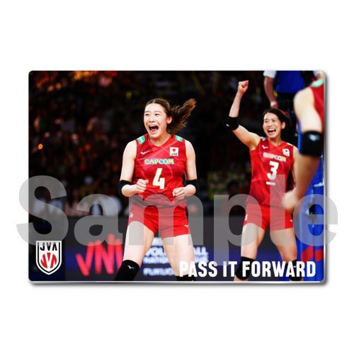 【バレーボール女子日本代表】メタルディスプレイ  アメリカ戦 04