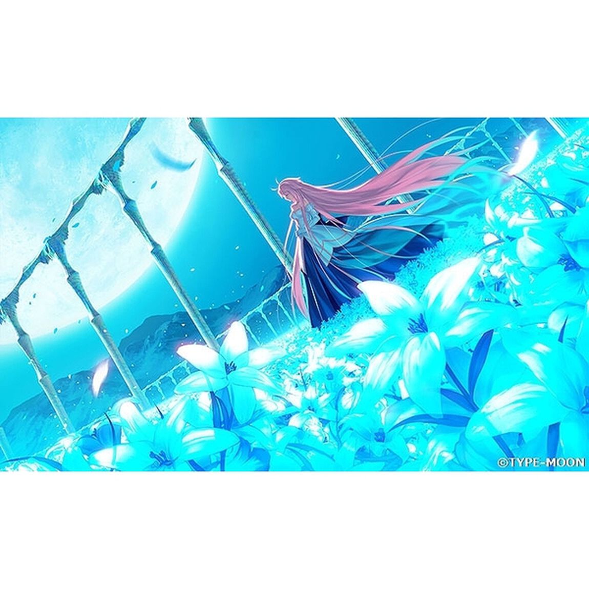 PS4　月姫 -A piece of blue glass moon-