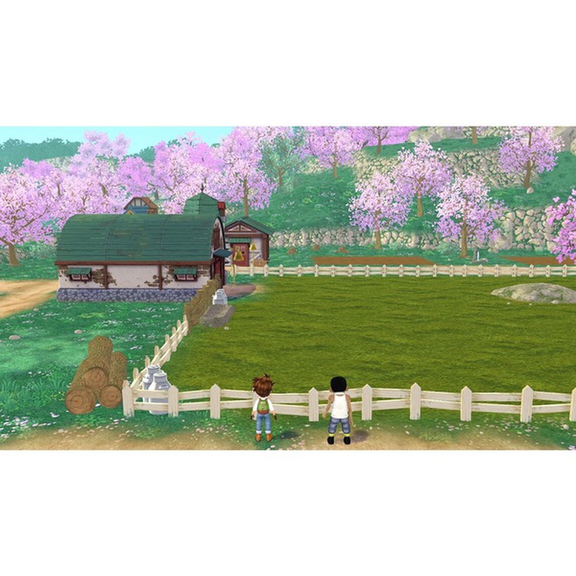 Nintendo Switch 牧場物語 Welcome！ワンダフルライフ