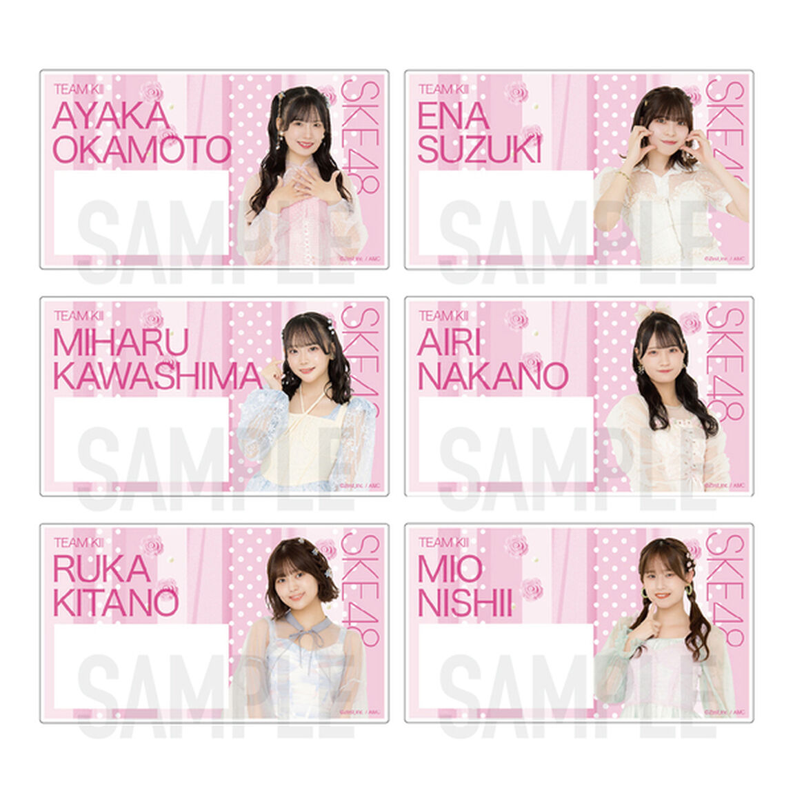 【SKE48】SKE48 32nd SG「愛のホログラム」チーム別ネームプレート（ランダム全14種）【チームKＩＩ】
