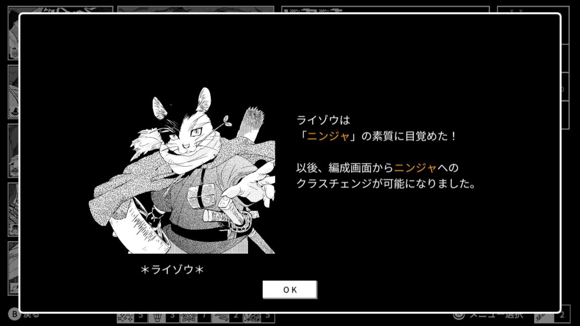 Nintendo Switch モノクローム・エコーズ　ホワイト＆ブラック　Wパック　限定版