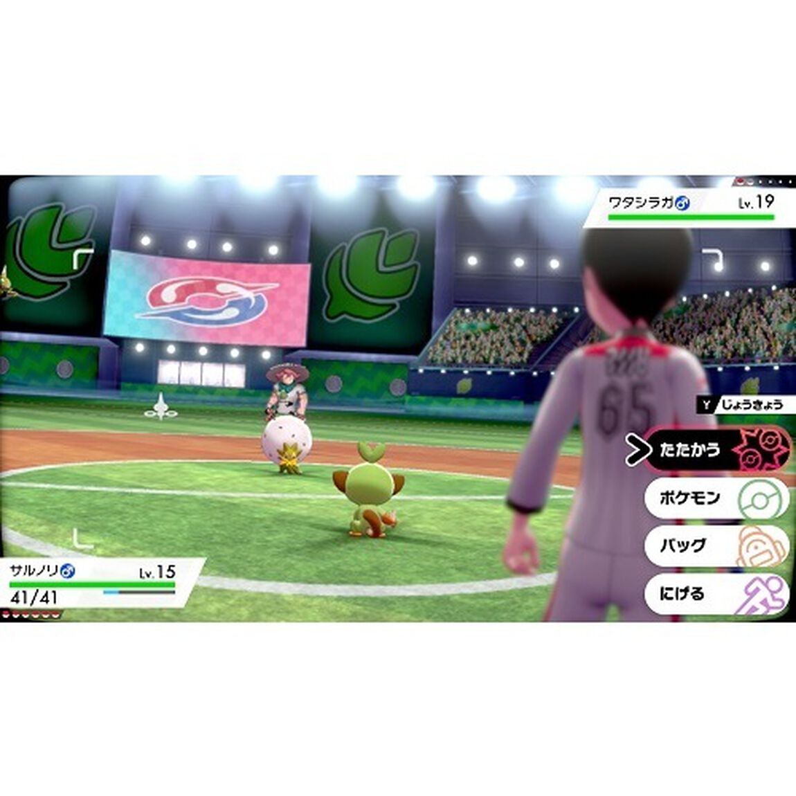 Nintendo Switch 『ポケットモンスター ソード・シールド』ダブルパック
